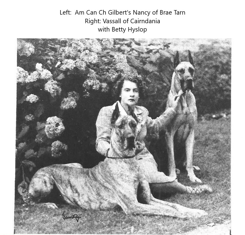 Gilberts Nancy of Brae Tarn and Vassall of Cairndania